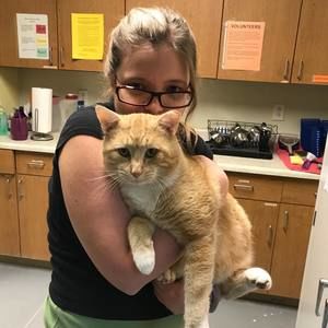 Meet your Posher, Hannah